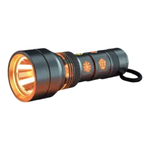 Torch 1 Demo